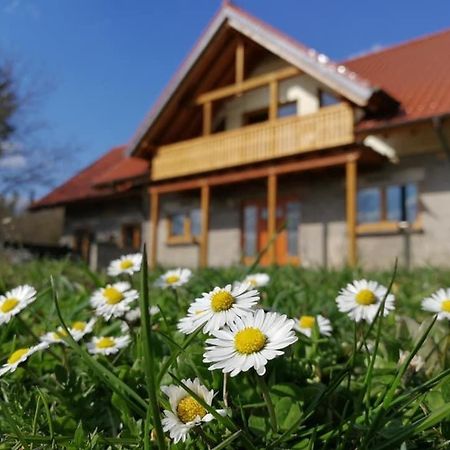 Wandertraum Johann - Fewo Eifel Kruft Bagian luar foto