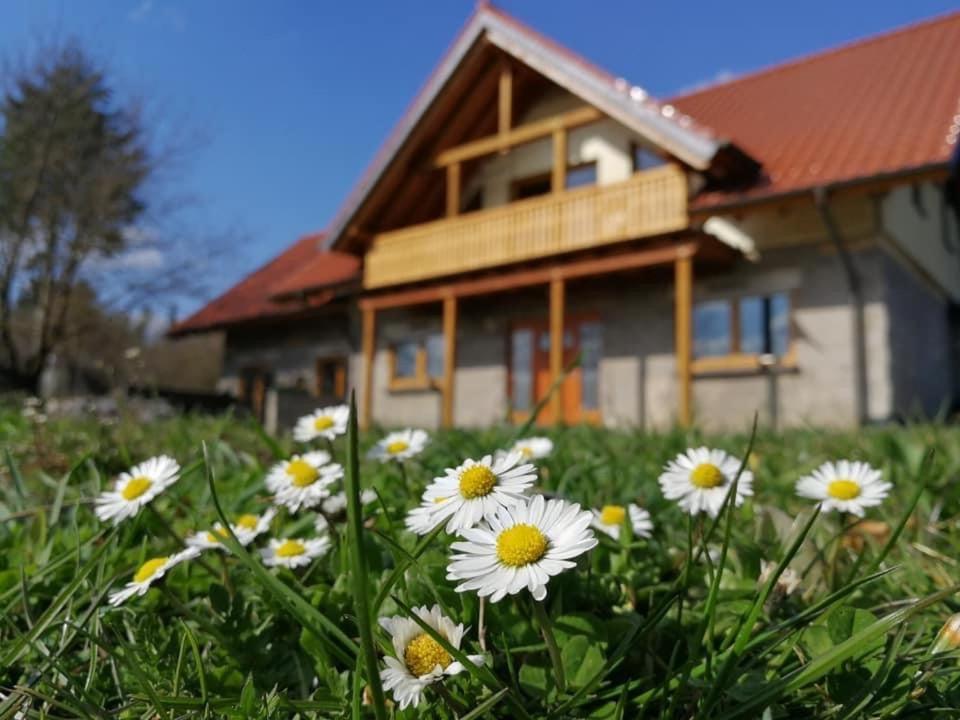 Wandertraum Johann - Fewo Eifel Kruft Bagian luar foto